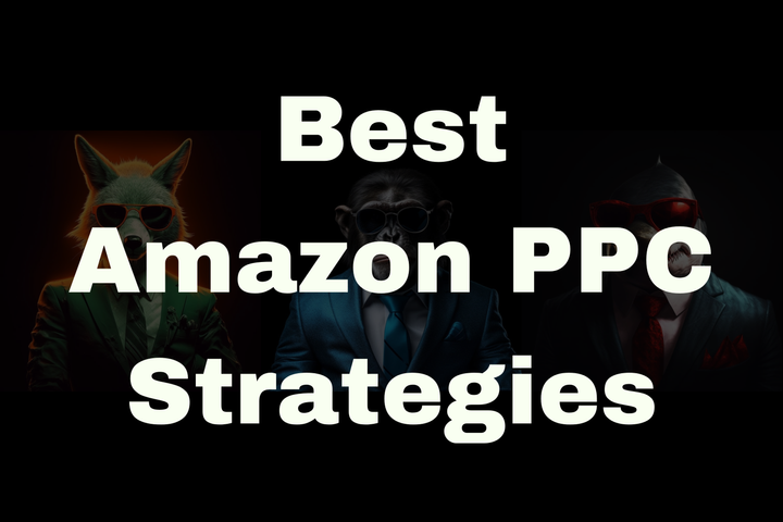 The Best Amazon PPC Strategy 2024